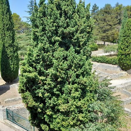 Grande Terrasse Et Vue Sur Le Site Antique Διαμέρισμα Vaison-la-Romaine Εξωτερικό φωτογραφία