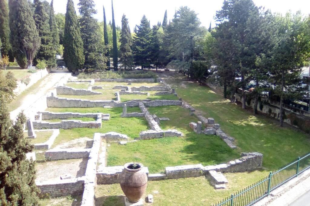 Grande Terrasse Et Vue Sur Le Site Antique Διαμέρισμα Vaison-la-Romaine Εξωτερικό φωτογραφία